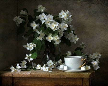 still life - pretty, photo, gentle, flowers, elegance, old, nice, jasmine, water, beautiful, photography, beauty, kettle, tea, lovely, cool, still life, flower, bouquet, drink, harmony, white, cup