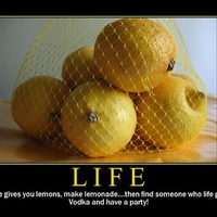 Life and Lemons