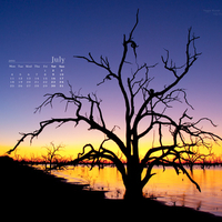 Lake-Pamamaroo-July-2011