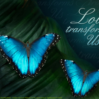 Love Transforms Us