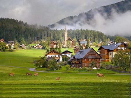 Village on the Hill - hill, sky, mountain, trees, animals, nature, cows, forest, green, fog, house, grass