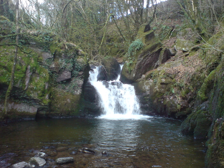 White Water - woodland, river, waterfall, beautiful