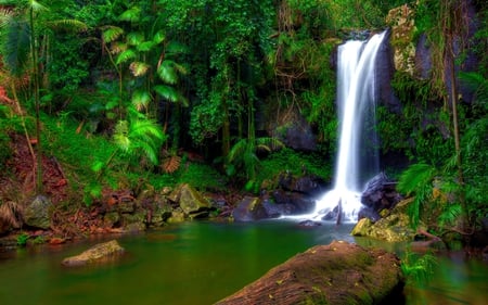 BEAUTIFUL WATERFALLS - waterfalls, ferns, green, plants, forest, rocks