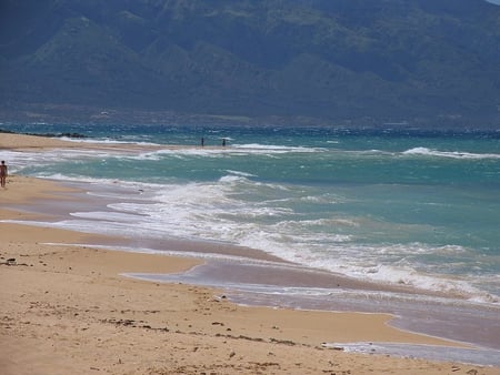 the beach - nature, water, beach, waves