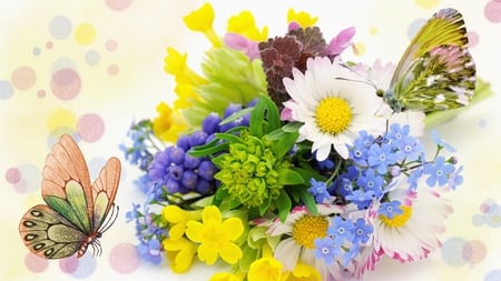 Colorful Display - bokeh, colorful, summer, bouquet, color, flowers, daisies, firefox persona, butterflies