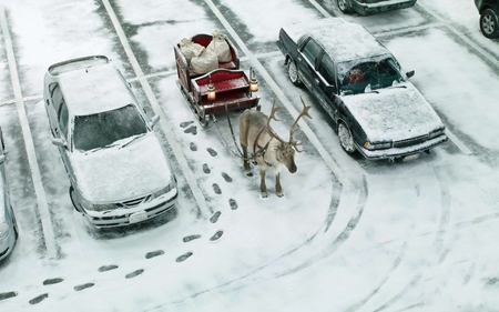 Santa in sleigh on street