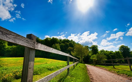 Sunny Day - pretty, sunny, summer, blue, amazing, meadow, spring, flowers, stunning, nice, sky, way, clouds, sunlight, trees, beautiful, road, fence, wonderful, nature, day, grassland