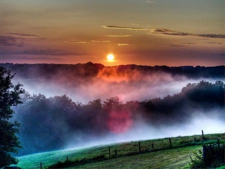 When it's Early in the Morning - trees, fields, sunrise, sun, sky, morning mist