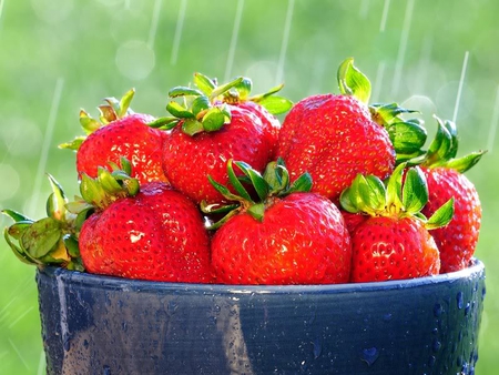 Bowl of Juicy Strawberries - red, bowl, water, fruit, delicious, strawberries