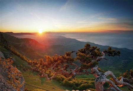 On top of the World - trees, beautiful, view, rocks, sun, sky