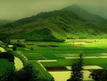 Splendor of our planet-14 - mountains, nature, amazing, green