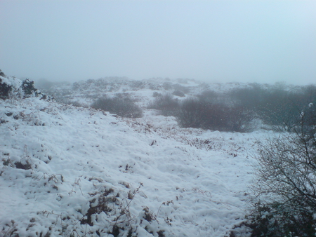 Winter Wonderland - snow, countryside, winter, mist