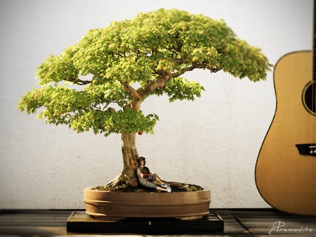 a little dream - bonsai, guitar, fantasy, collage, dream, man