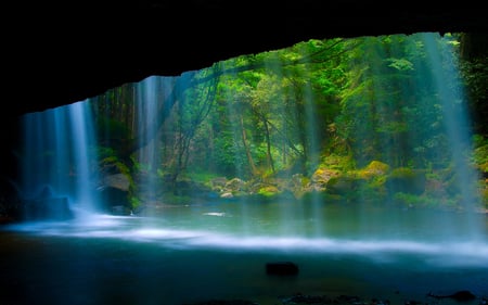 Veil of Water - veil, trees, beautiful, green, opening, hdr, waterfall, misty