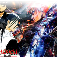 Ichigo Byakuya Soi Fon the beast of bleach