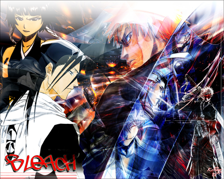 Ichigo Byakuya Soi Fon the beast of bleach - soul reapers, ichigo, captians, bleach