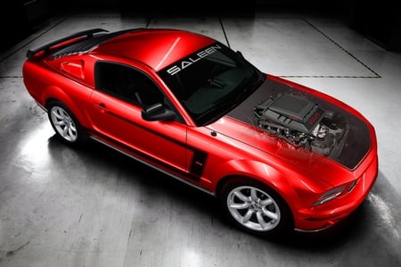 Saleen mustang - mustang, saleen mustang, saleen