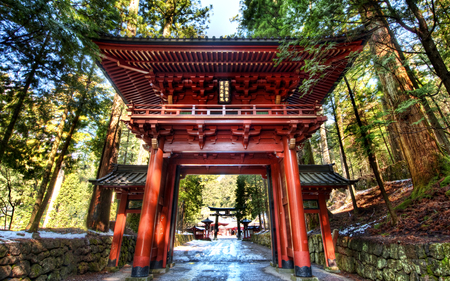 Temple Entrance - pretty, amazing, entrance, china, forest, stunning, nice, sky, way, trees, beautiful, architecture, stones, mythic, ancient, temple, asia