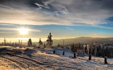 Winter Wonderland I - horizon, road, beautiful, frost, amazing, wonderful, nature, winter, pretty, sun, sky, nice, clouds, stunning, ice, trees, snow