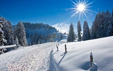 Winter Wonderland II - pretty, horizon, hills, amazing, snow, stunning, frost, nice, sky, sun, clouds, trees, winter, beautiful, road, wonderful, ice, nature