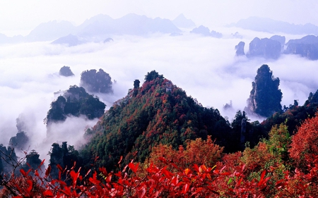 Colors of Nature - picture, beautiful, china, zhangjiajie, colors of nature