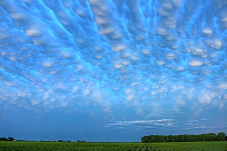 Bubble blue - sky, trees, blue, green, bubble shape