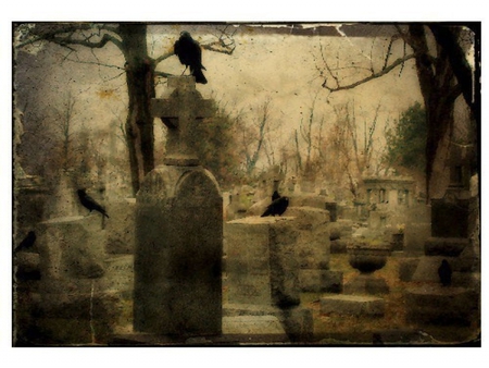 Graveyard Crows - graveyard, death, sepia, grave, crows