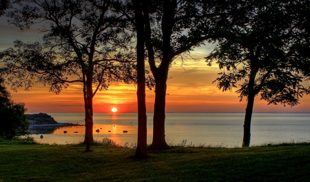 Lovely View - beautiful, ocean, grass, view, tree, nature, sunset, colorful, evening, rays, landscape, beauty, peaceful, sky, reflection, sunlight, clouds, lovely, splendor, trees, sea, colors, green