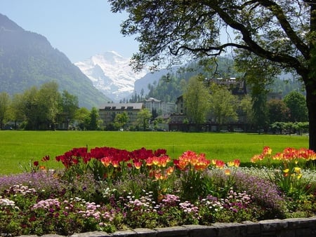 Nature's Beauty - beauty, swiss, nature, scenery