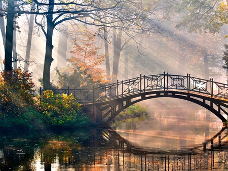 Morning Glory - trees, sunlight, peaceful, water, ornate, stunning, bushes, reflection, pretty, tranquil, bridge