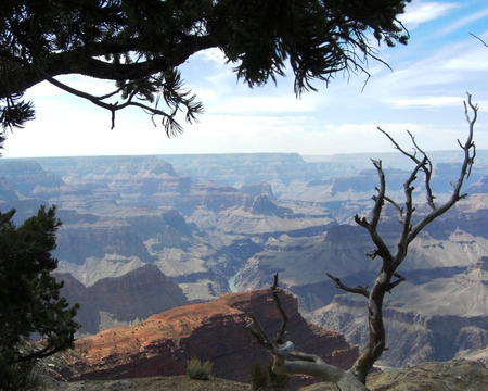 Looking Out Over Colorado - clouds, canyons, grand, colorado, shadow, tree, sky