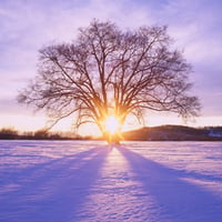 Winter Daybreak, Hokkaido, Japan