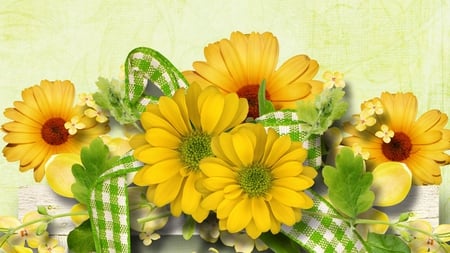 Flowers and Ribbons - green and white ribbon, summer, bows, daisy, gerber, spring, yellow flowers, firefox persona