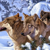 Wolf Pack
