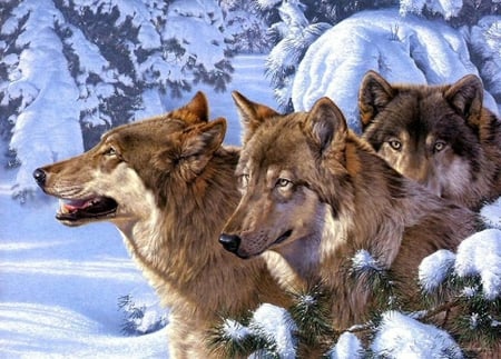 Wolf Pack - winter, three, trees, gray wolves