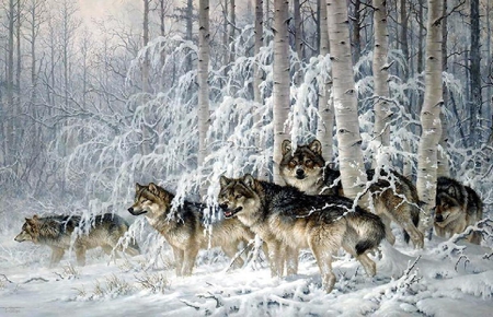 Winter Hunt - pack, winter, forest, wolves