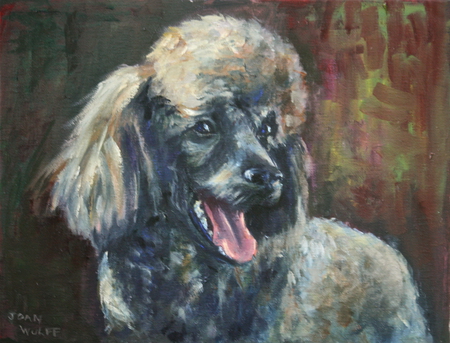 Tigger Happy - dogs, oils, happy, poodles