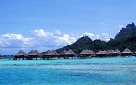 Beach Huts - picture, beach, huts, beautiful