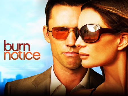 Burn notice - burn notice