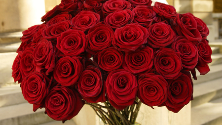 Bouquet of Red Roses - roses, beautiful, red, nice, love, flower, bouquet, sweet