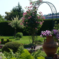 Roses Arch