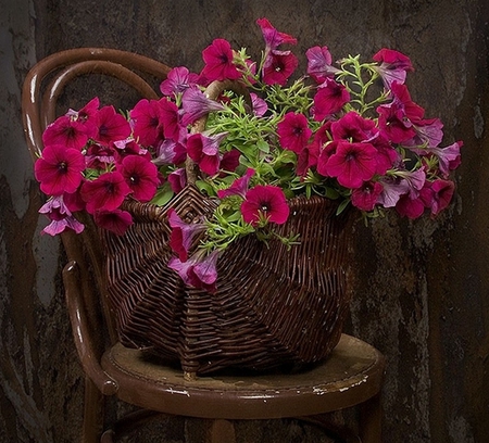 Still life - pretty, beautiful, flowers, lovely, basket, still life, nature, chair