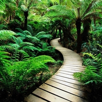 nature-wood-road