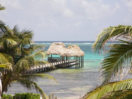 Belize,Beach - nature, beach, belize, caribbean sea