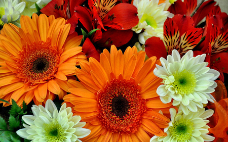 Mixed Bouquet - bouquet, mixed, white, nature, gerbera, pink, red, green, flowers