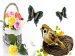 Basket Bird and Butterflies