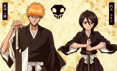 special divison - gotei, vice capitaine, special, rukia, division, ichigo