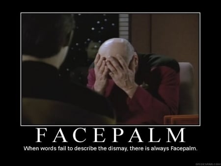 FACEPALM - face, hands, palm, men