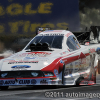 Ashley Force