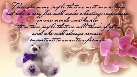 Friendship - flowers, exotic, teddy bear, orchids, friends, script